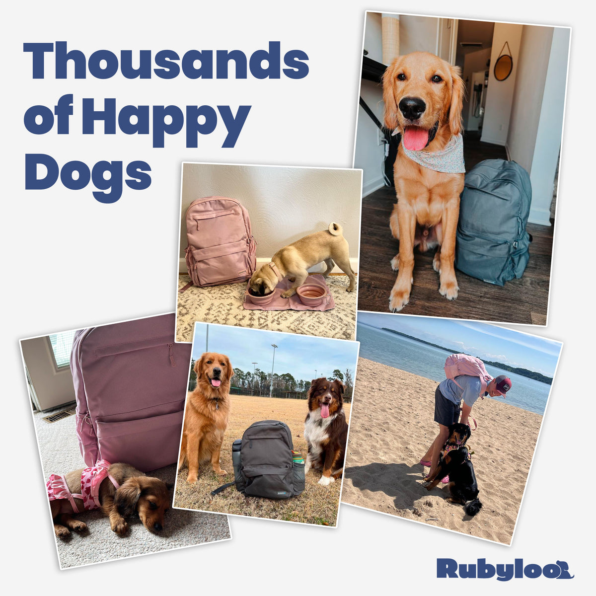 The Original Doggy Bag® Backpack for Dog Supplies