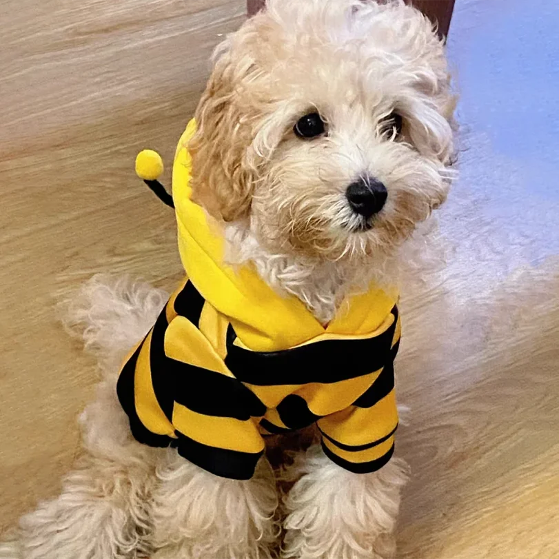 Bee Pet Puppy Coat Apparel Outfit Dog Halloween Hoodies Winter Cat Cosplay Costume Holiday Outfit for Small Medium Dogs & Cats