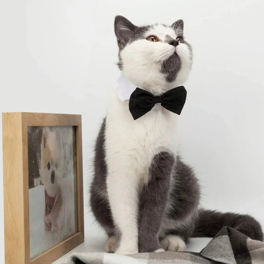 Adjustable Formal Puppy Dog Bowtie Collar Tuxedo Collar Neck Tie for Small Dogs and Cats Pet Party Wedding Grooming Costumes