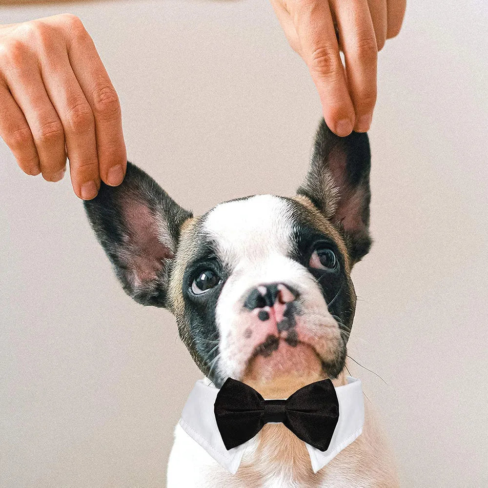 Adjustable Formal Puppy Dog Bowtie Collar Tuxedo Collar Neck Tie for Small Dogs and Cats Pet Party Wedding Grooming Costumes