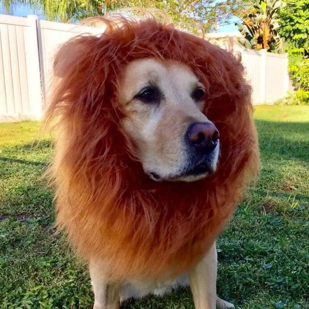 1pc, Lion Mane for Dog Costume, Realistic Funny Lion Wig for Medium to Large Sized Dogs, Halloween Fancy Dog Lion Mane