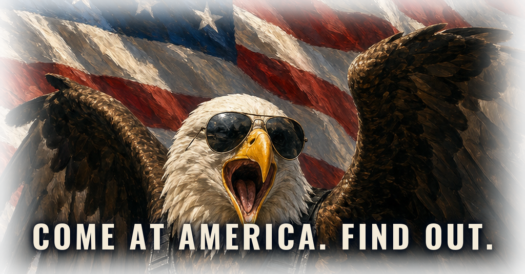 Come At America, Find Out cap - Freedom Advocates Florida Official, LLC