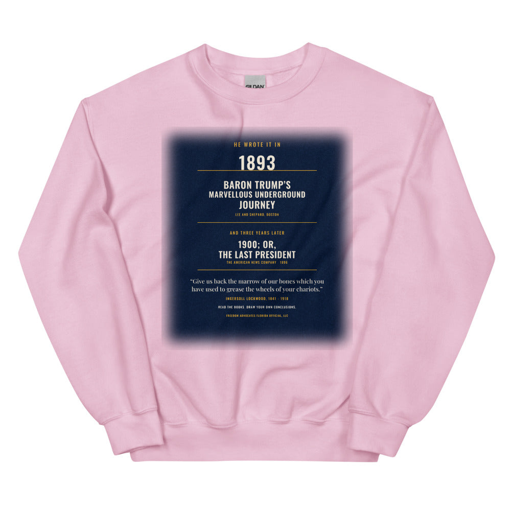 Sweatshirt in Light Pink flat
