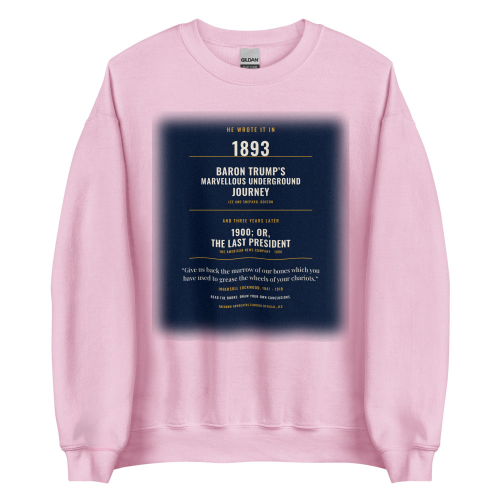Sweatshirt in Light Pink flat