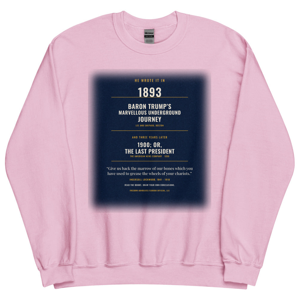 Sweatshirt in Light Pink flat