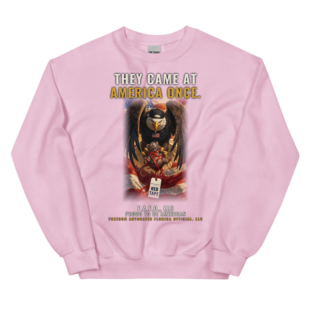 Sweatshirt in Light Pink flat