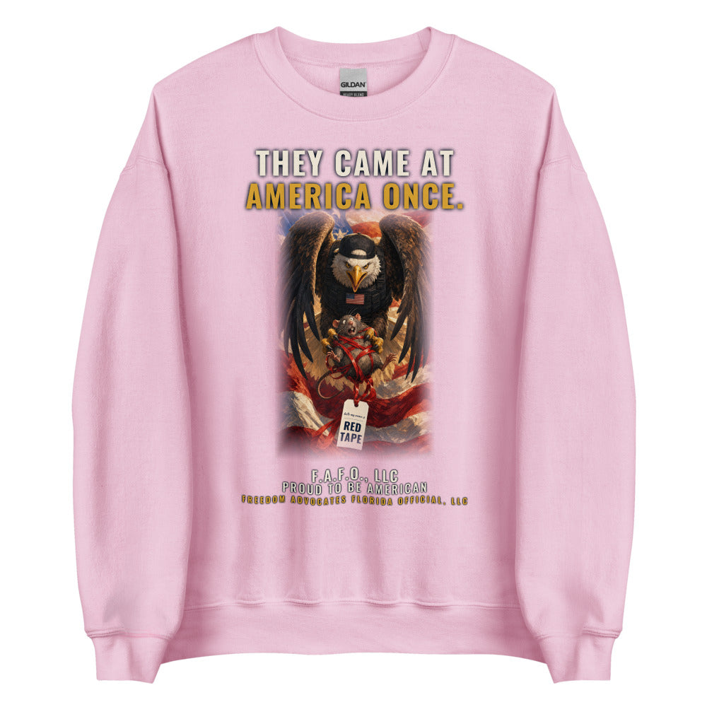 Sweatshirt in Light Pink flat