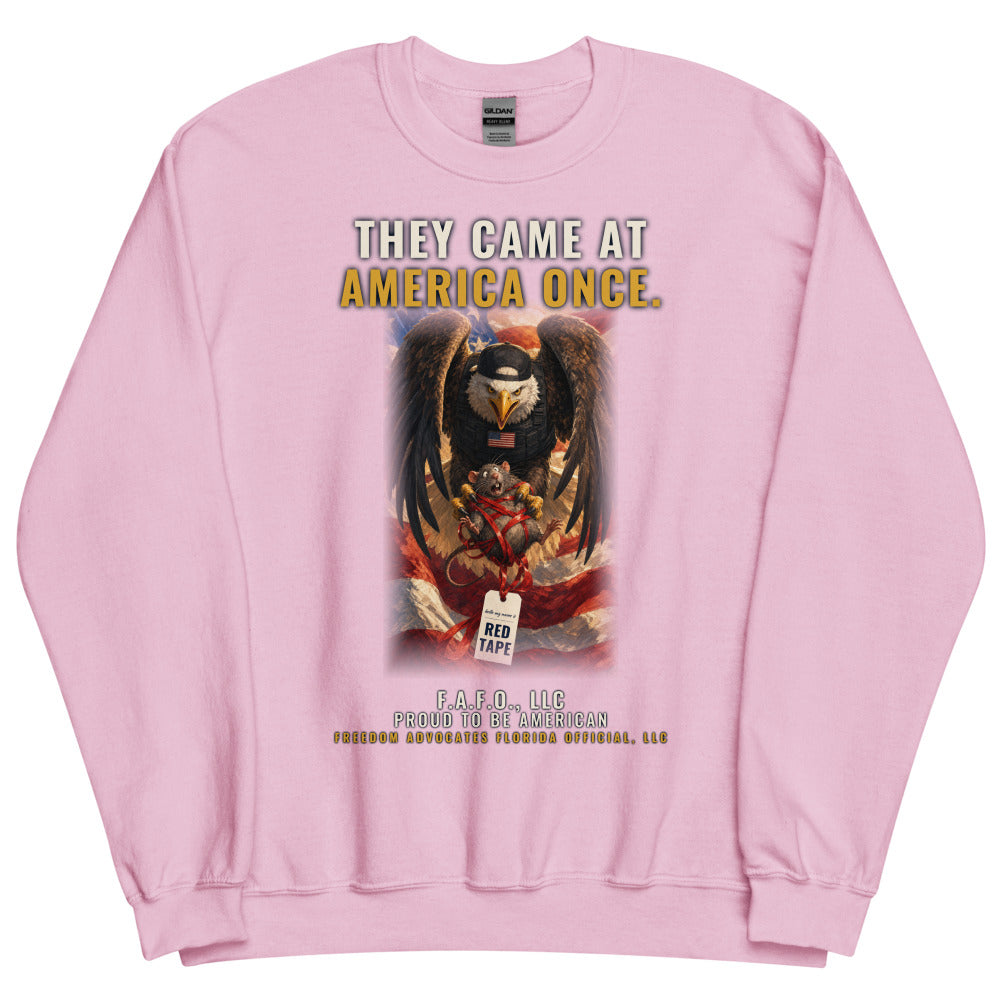 Sweatshirt in Light Pink flat