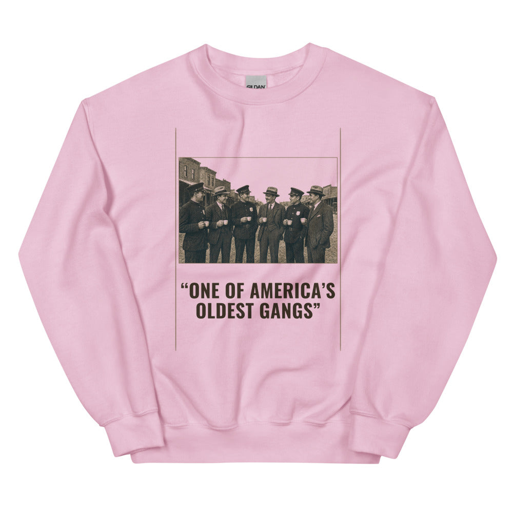 Sweatshirt in Light Pink flat