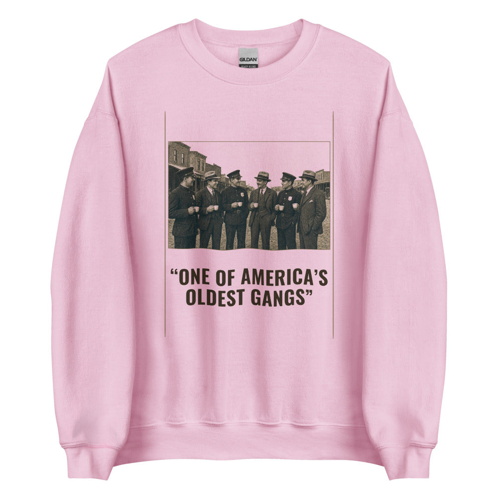 Sweatshirt in Light Pink flat