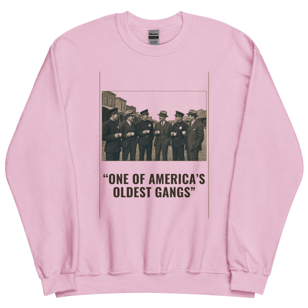 Sweatshirt in Light Pink flat