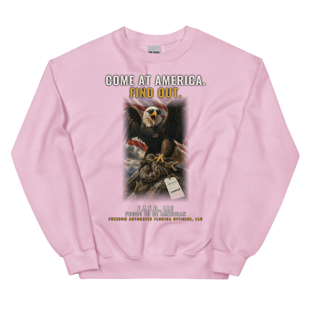 Sweatshirt in Light Pink flat