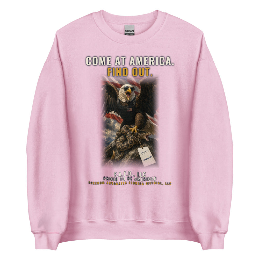Sweatshirt in Light Pink flat