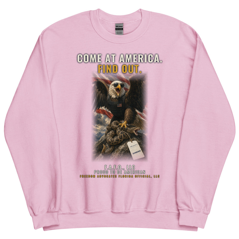 Sweatshirt in Light Pink flat
