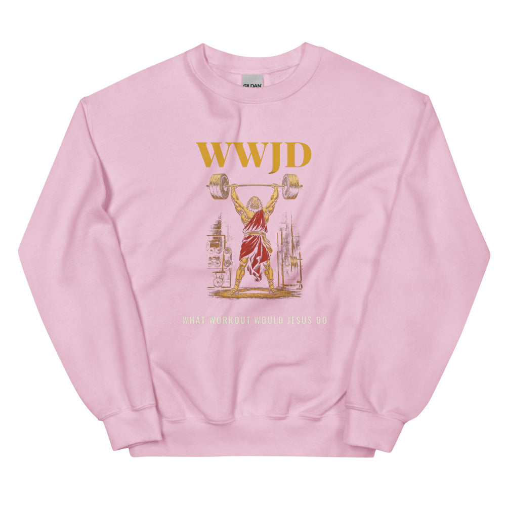 Sweatshirt in Light Pink flat