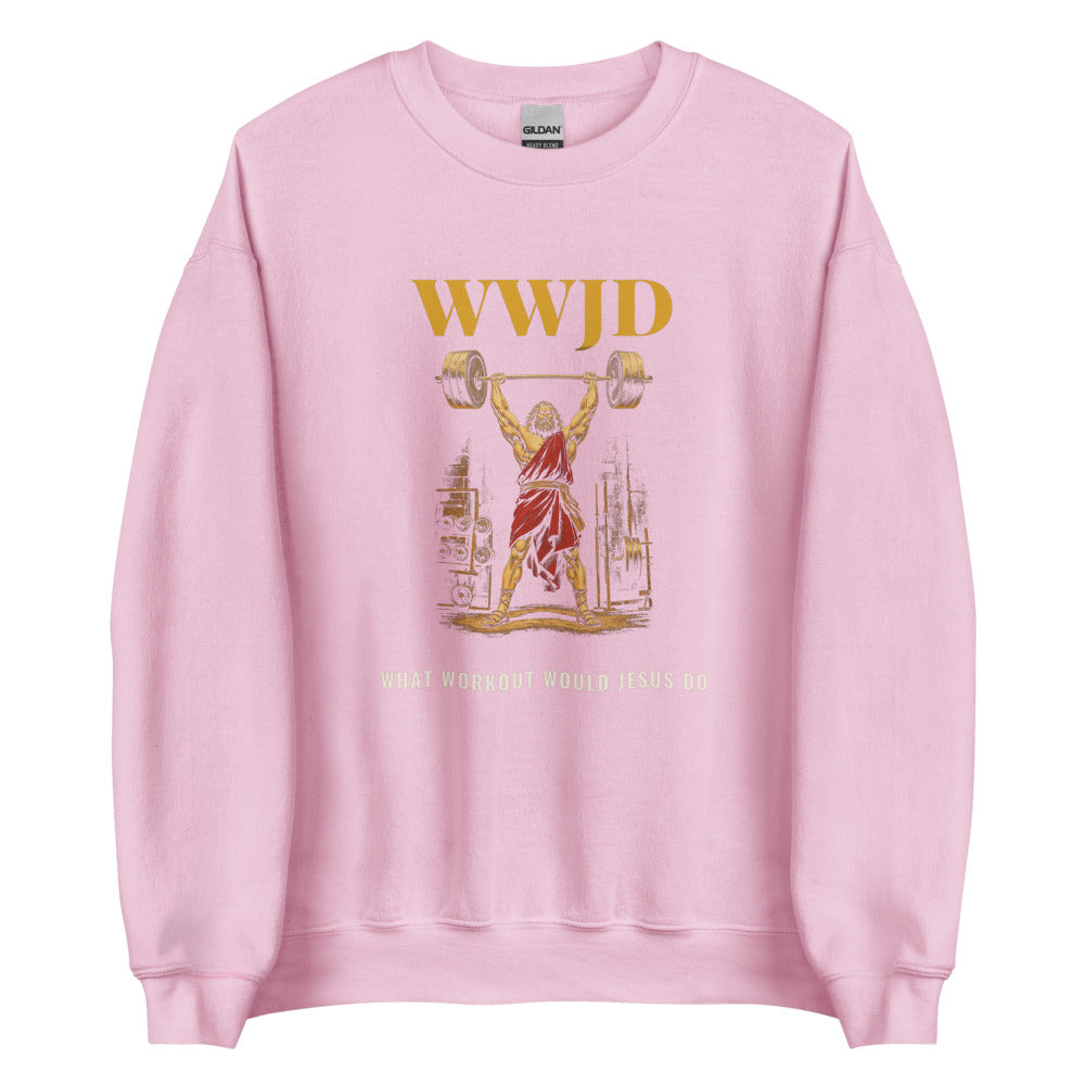 Sweatshirt in Light Pink flat