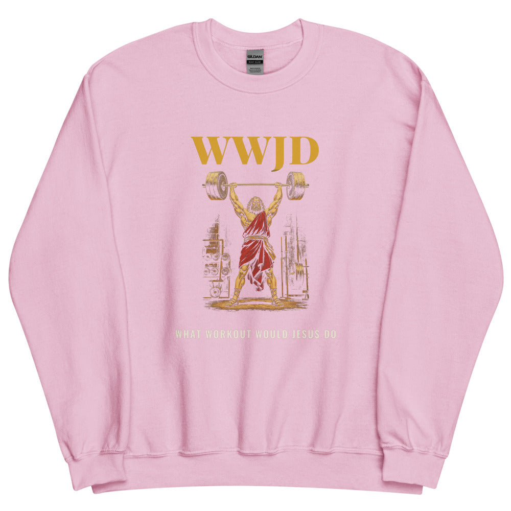 Sweatshirt in Light Pink flat