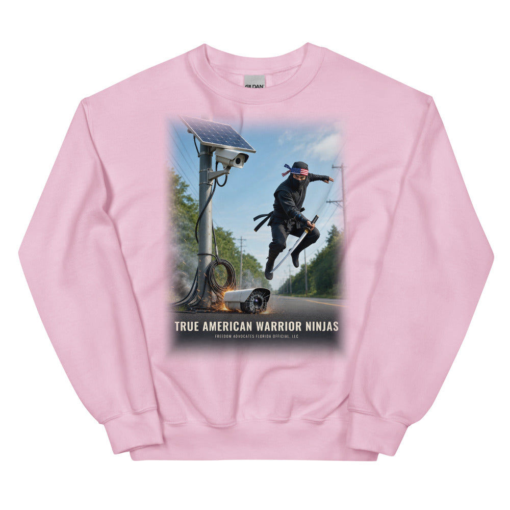 Sweatshirt in Light Pink flat