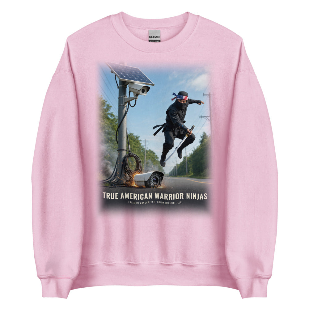 Sweatshirt in Light Pink flat