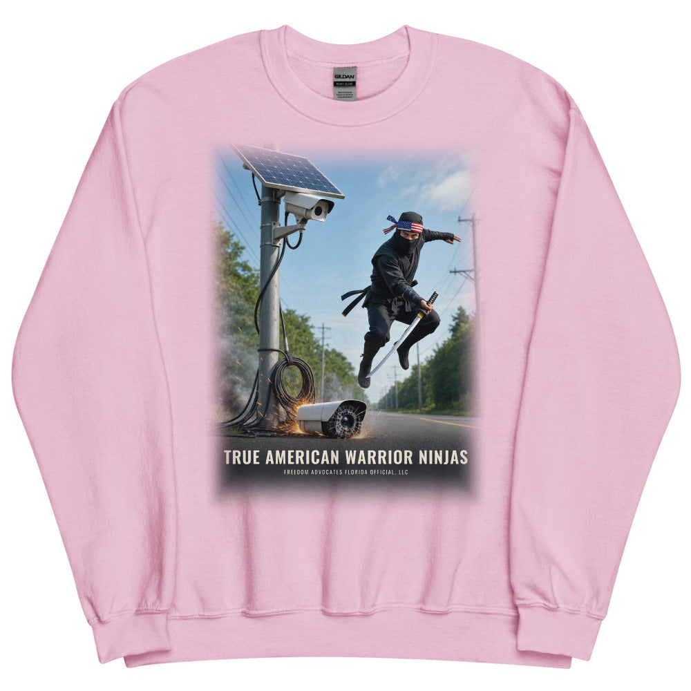 Sweatshirt in Light Pink flat