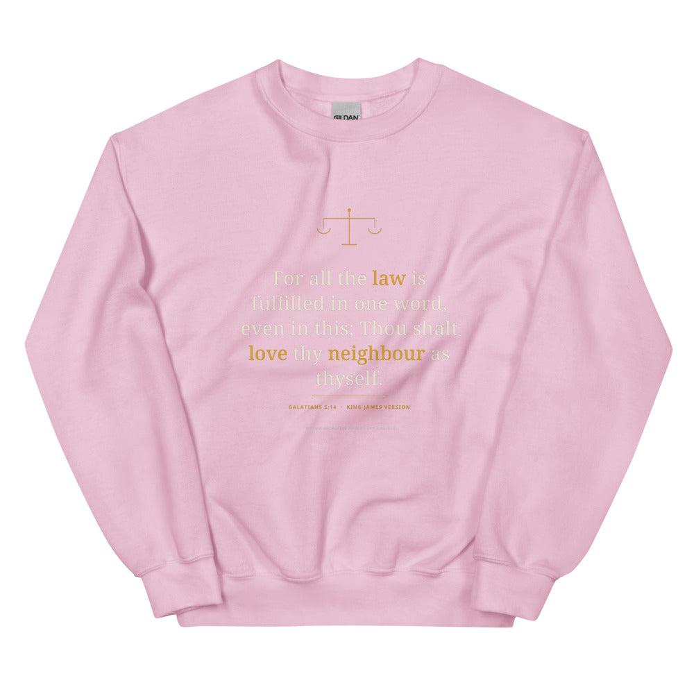 Sweatshirt in Light Pink flat