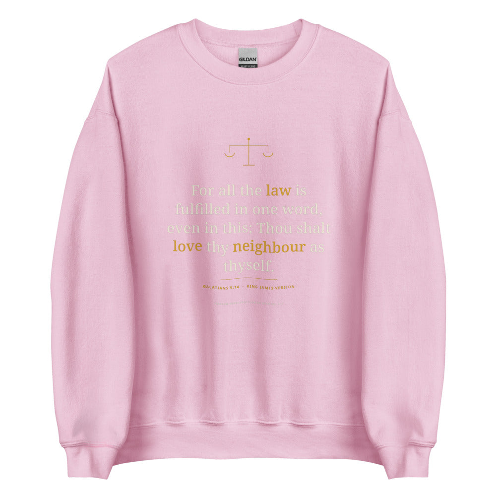 Sweatshirt in Light Pink flat