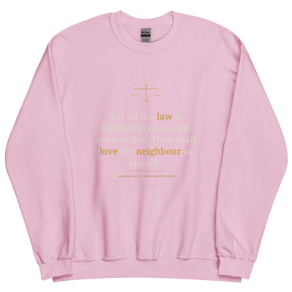 Sweatshirt in Light Pink flat