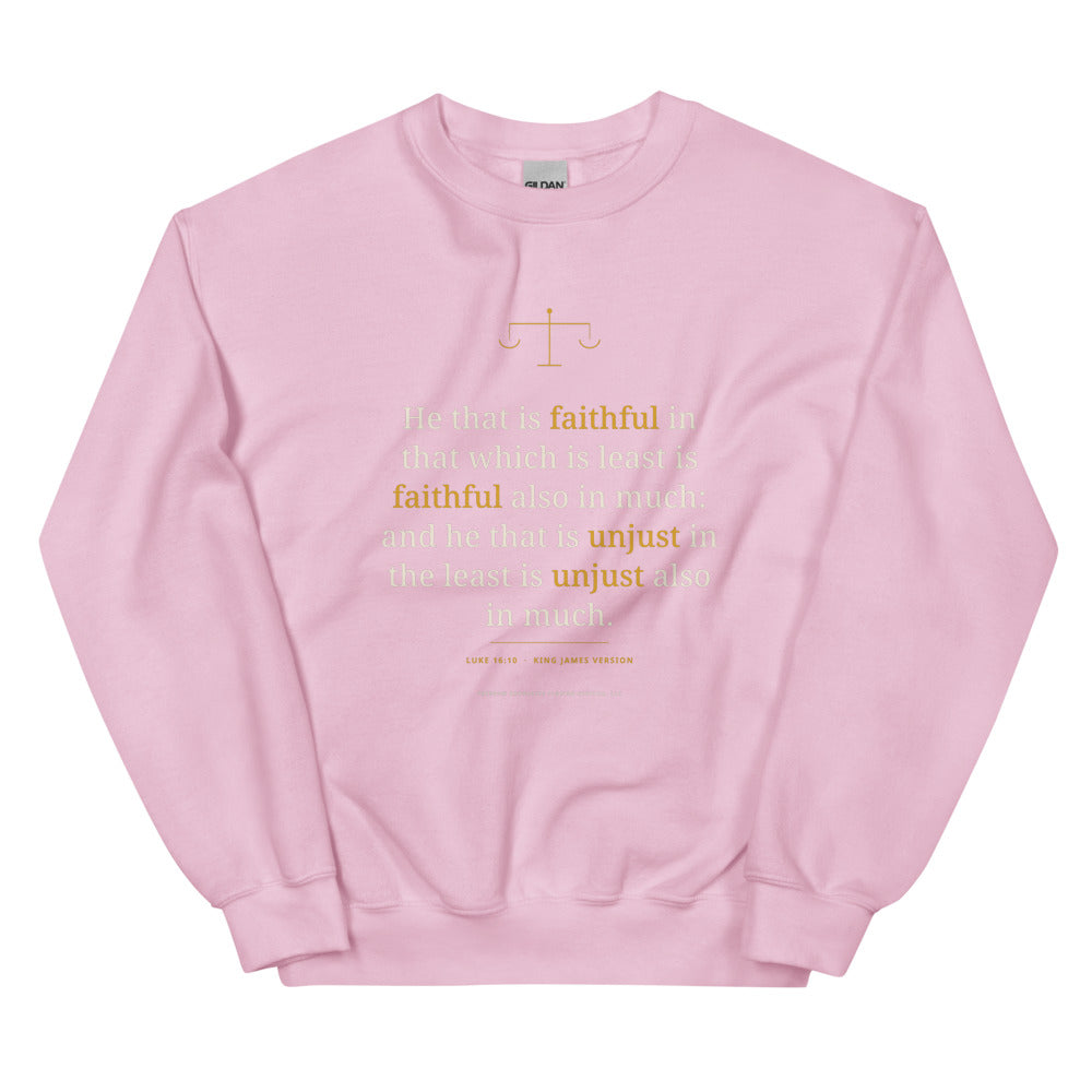 Sweatshirt in Light Pink flat