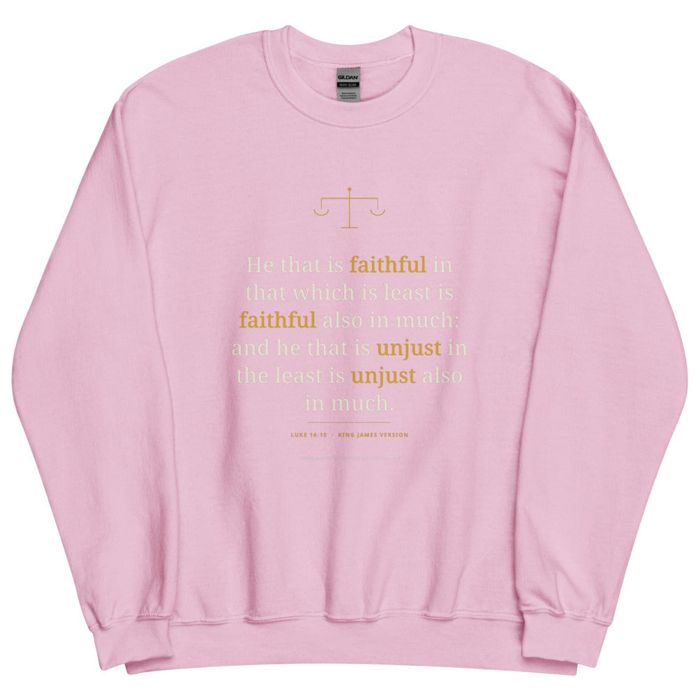 Sweatshirt in Light Pink flat