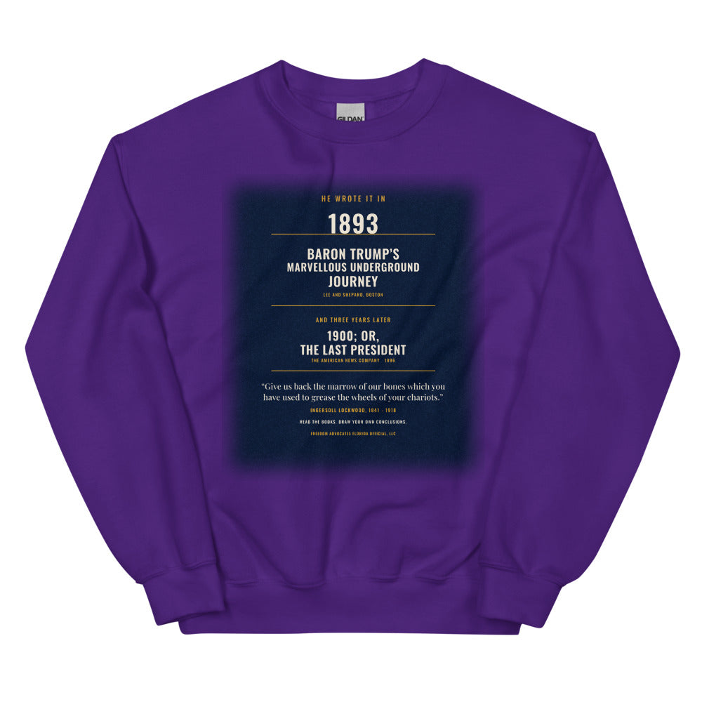 Sweatshirt in Purple flat