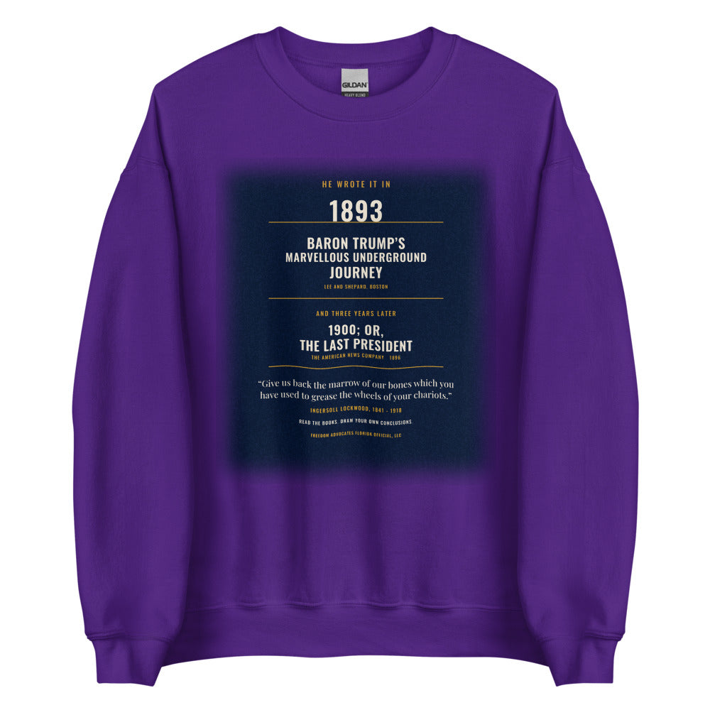 Sweatshirt in Purple flat