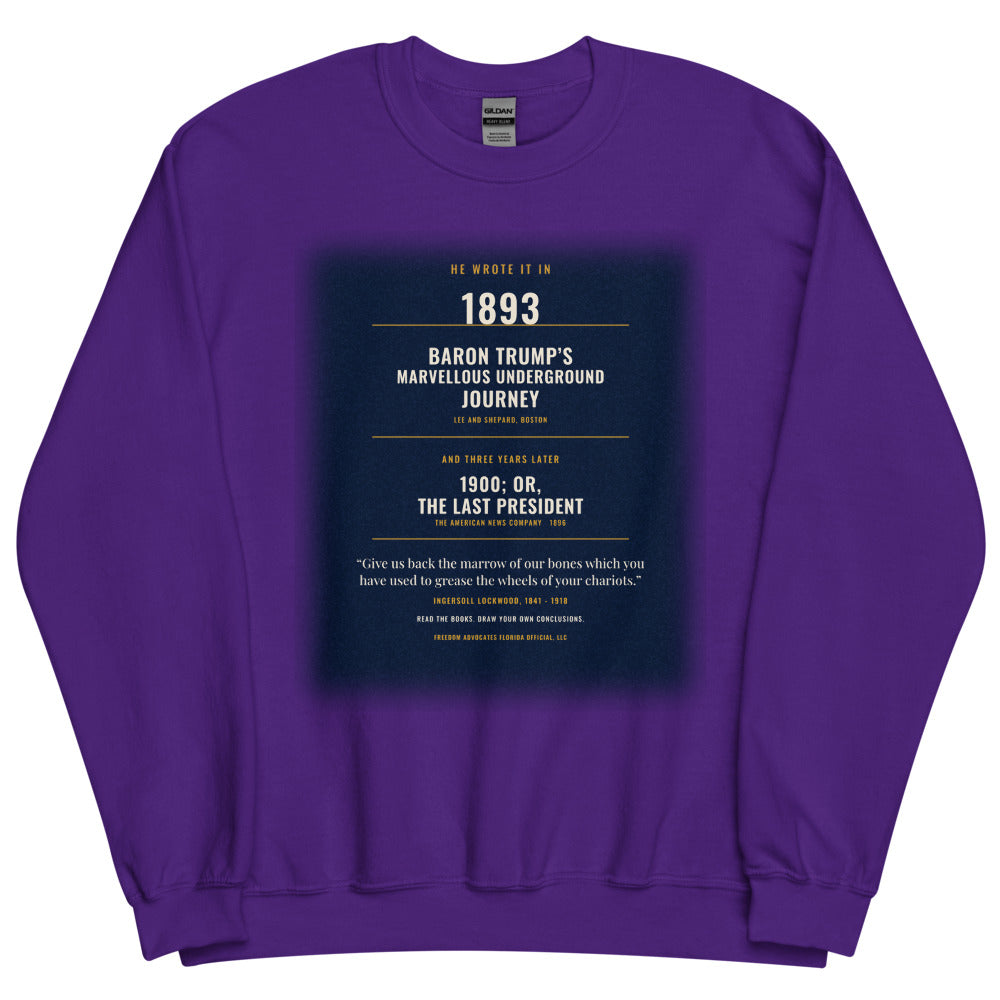 Sweatshirt in Purple flat
