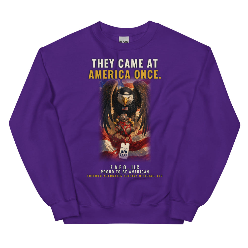Sweatshirt in Purple flat