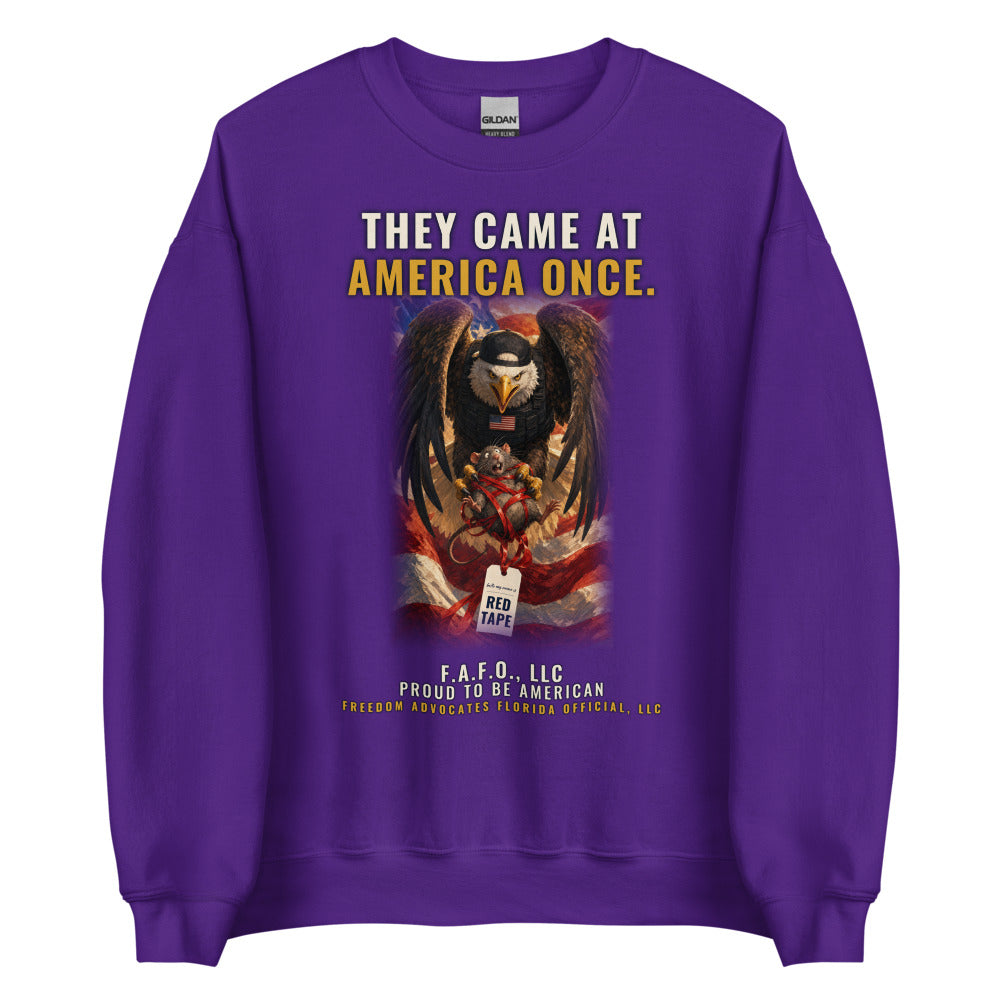 Sweatshirt in Purple flat
