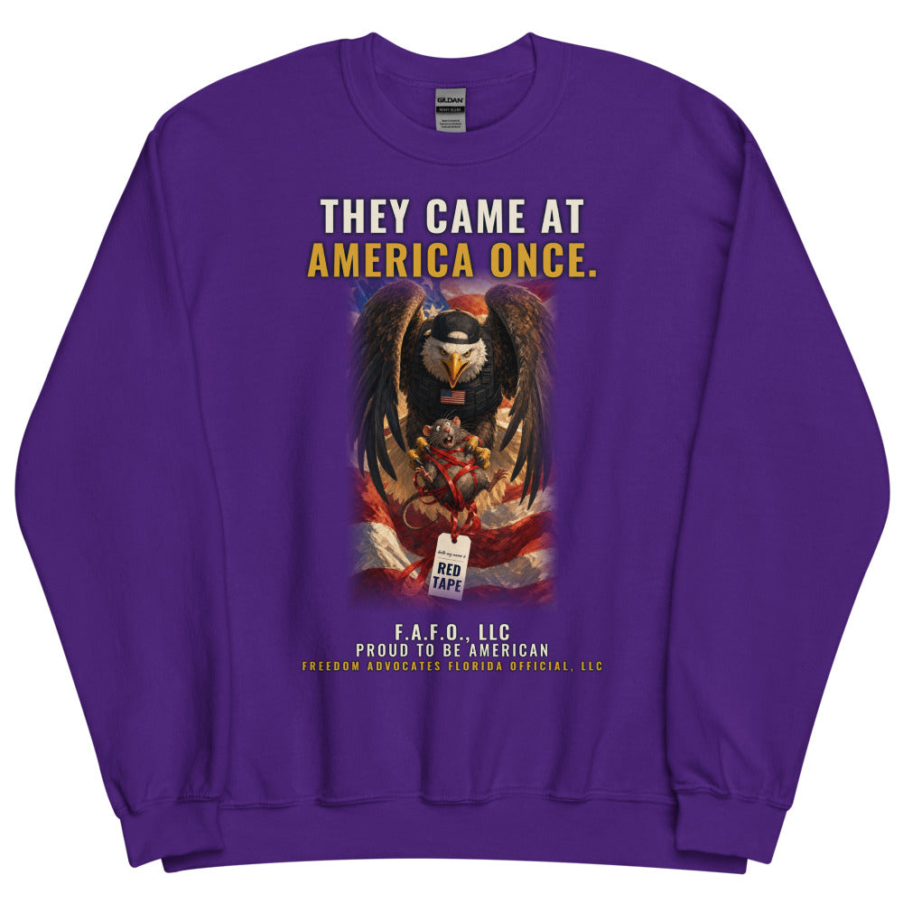 Sweatshirt in Purple flat