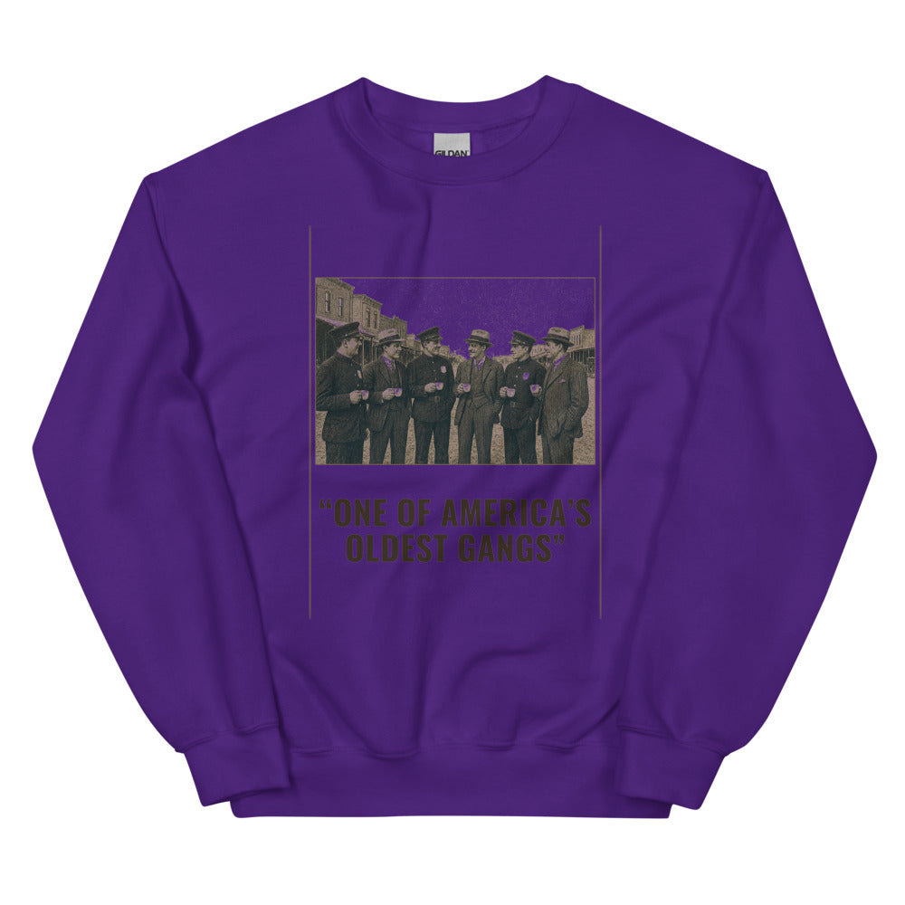 Sweatshirt in Purple flat