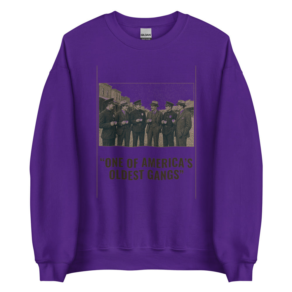 Sweatshirt in Purple flat