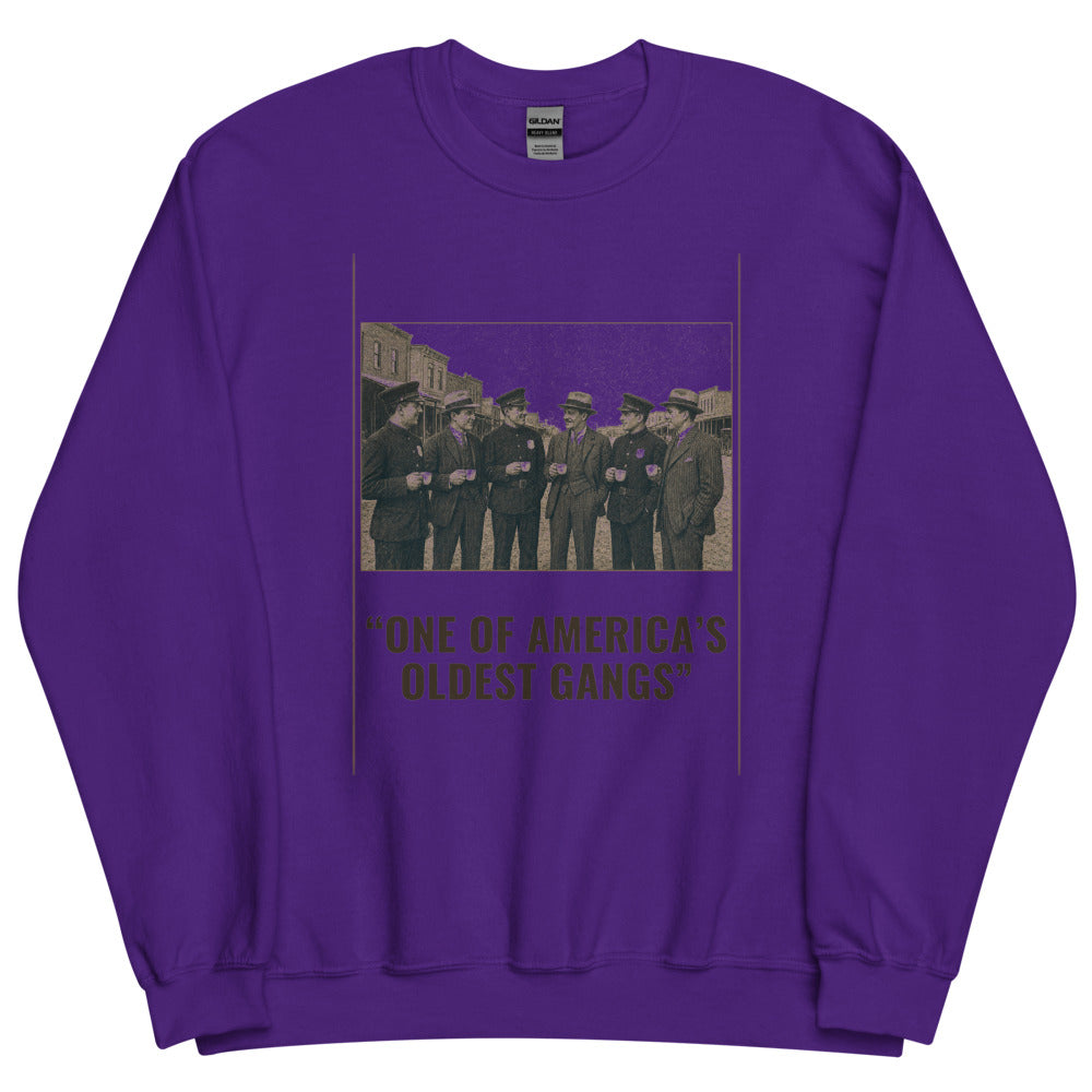 Sweatshirt in Purple flat