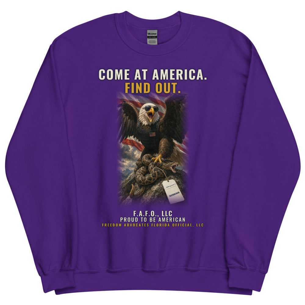 Sweatshirt in Purple flat