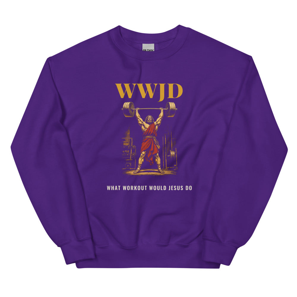 Sweatshirt in Purple flat