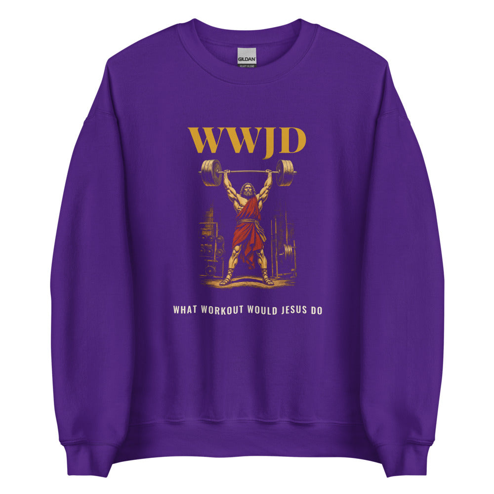 Sweatshirt in Purple flat