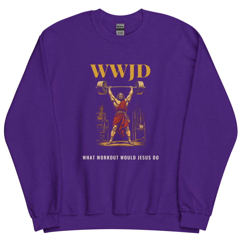 Sweatshirt in Purple flat