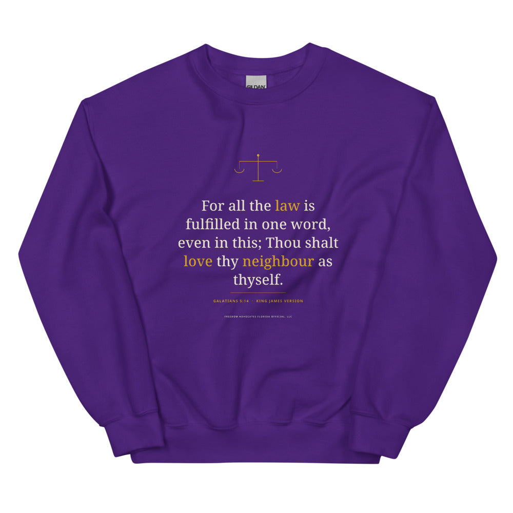 Sweatshirt in Purple flat
