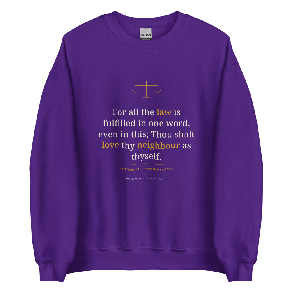 Sweatshirt in Purple flat