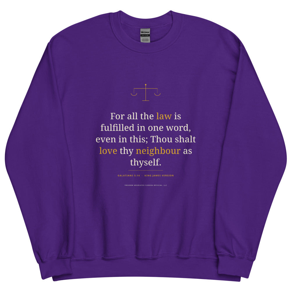 Sweatshirt in Purple flat