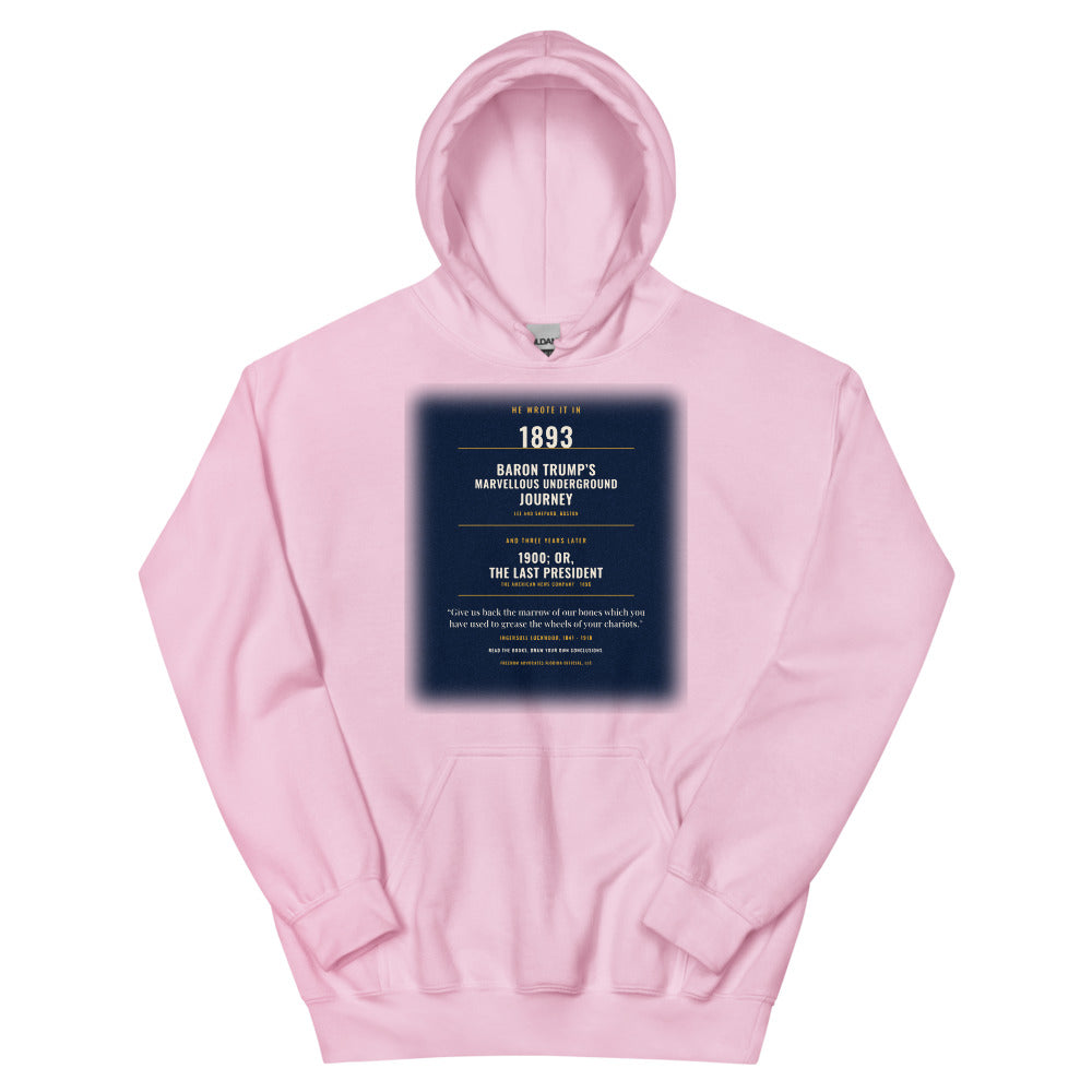 Hoodie in Light Pink flat