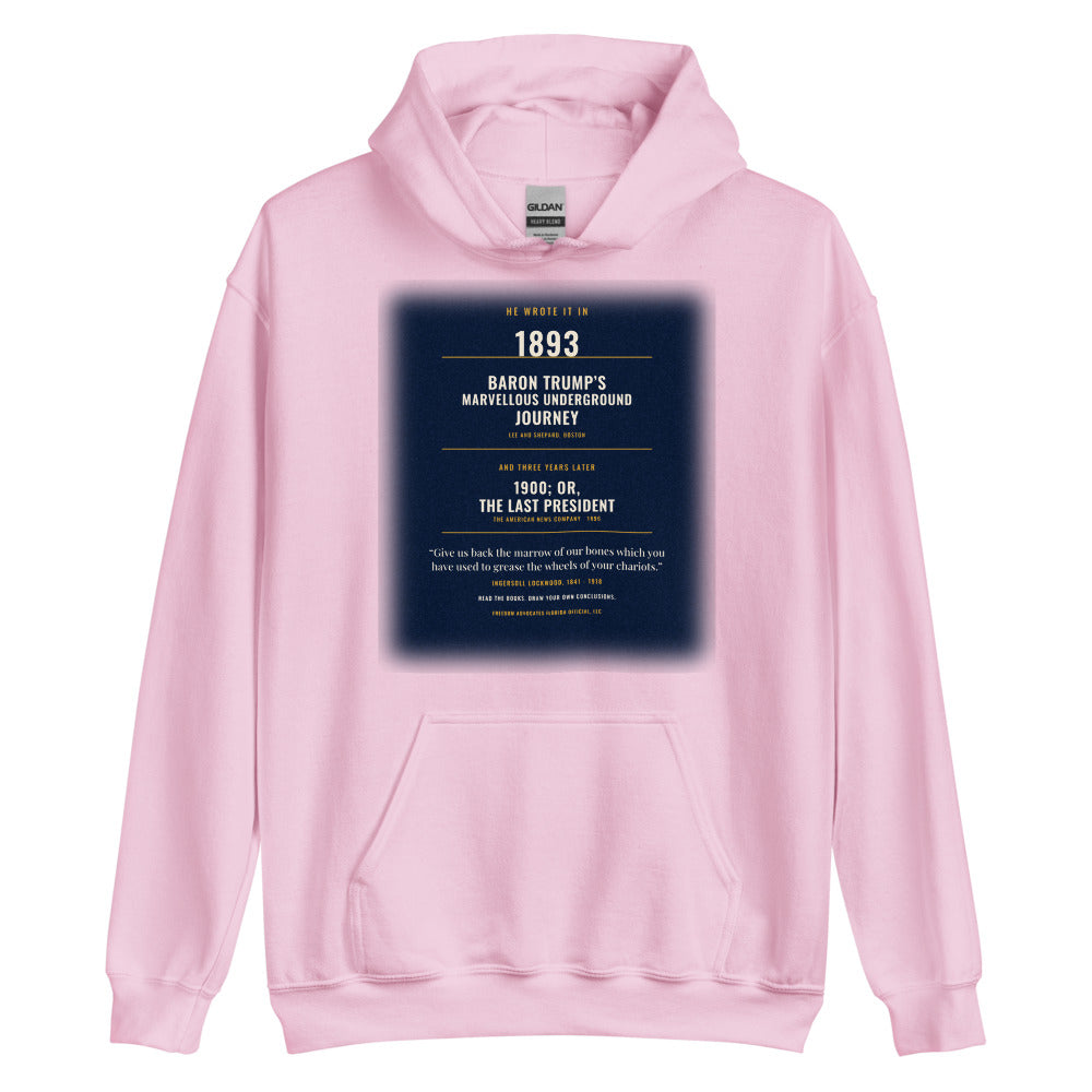 Hoodie in Light Pink flat