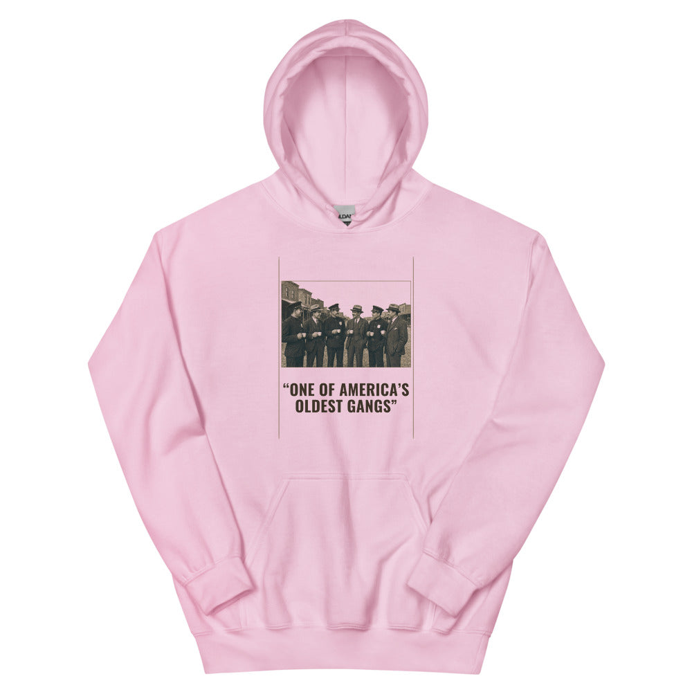 Hoodie in Light Pink flat
