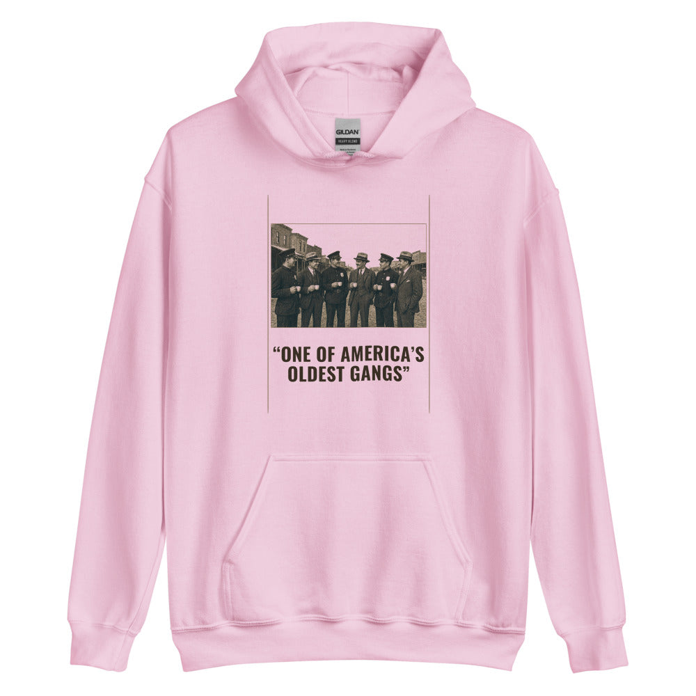 Hoodie in Light Pink flat