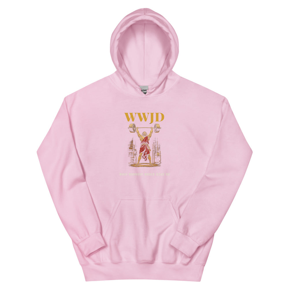 Hoodie in Light Pink flat